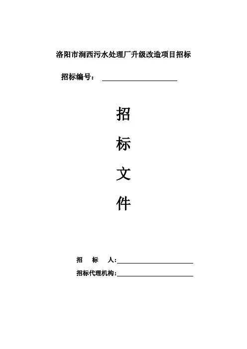 招标文件-洛阳项目