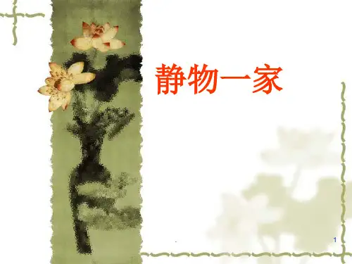 静物一家PPT课件