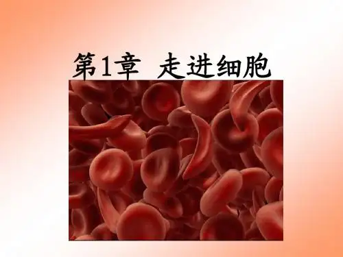 2017-2018学年人教版 新高一全册生物课件