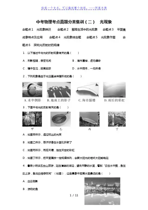 中考物理考点真题分类集训(二) 光现象【含答案解析】