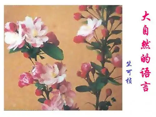 大自然的语言