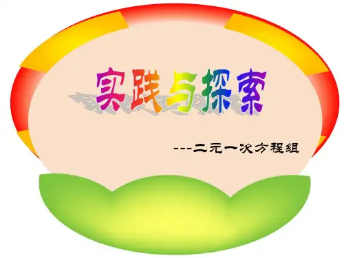 二元一次方程组解决配套问题