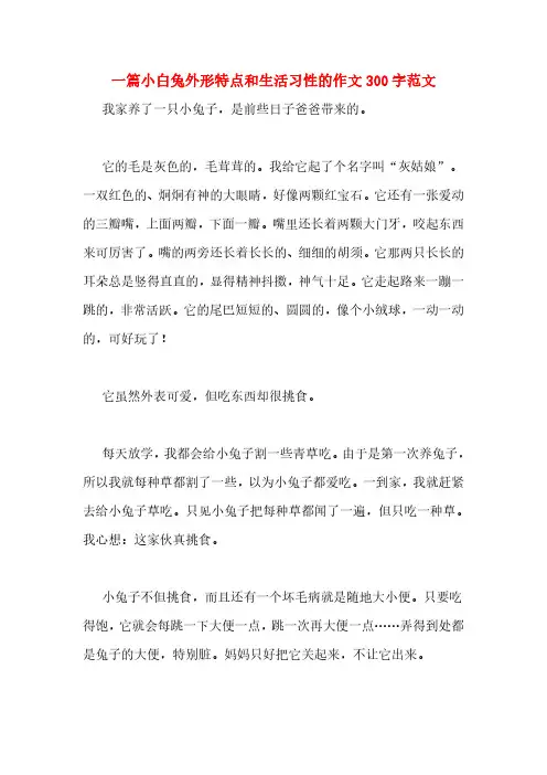 一篇小白兔外形特点和生活习性的作文300字范文