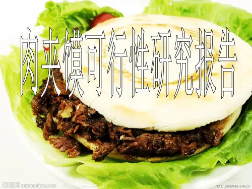 肉夹馍可行性研究报告