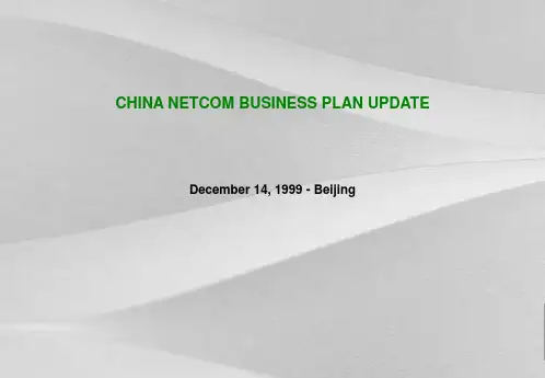 中国网通战略咨询分析报告1英文