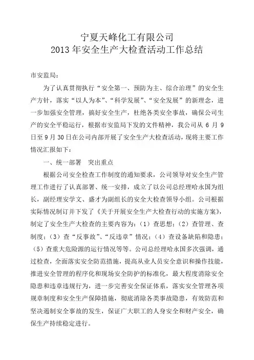 2013年安全生产大检查活动工作总结
