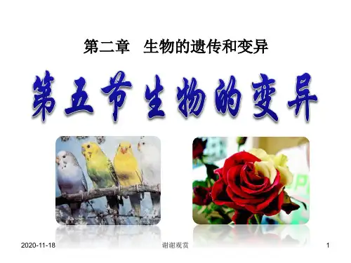 八年级生物下册7.2.5生物的变异课件人教新课标版.ppt
