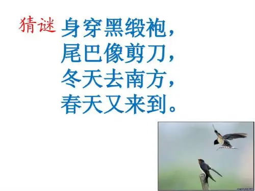 习作5__给动物设计名片.ppt