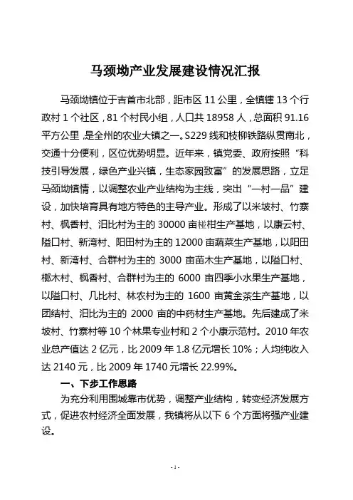 马颈坳镇产业发展建设情况汇报
