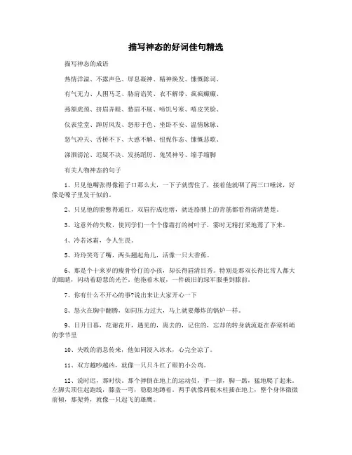 描写神态的好词佳句精选