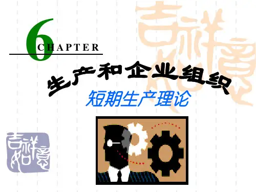 第6章 生产和企业组织