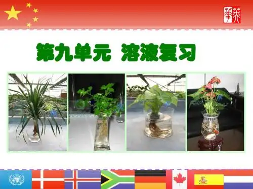 九年级化学第九单元_溶液复习课件人教版[1] 2