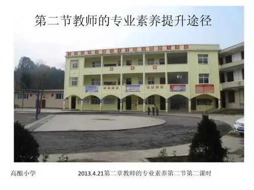 2013.4.21第二章教师的专业素养第二课时