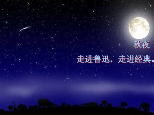 《秋夜》鲁迅赏析解析