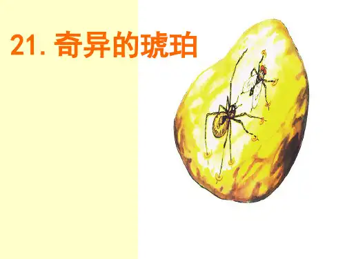《奇异的琥珀》PPT课件