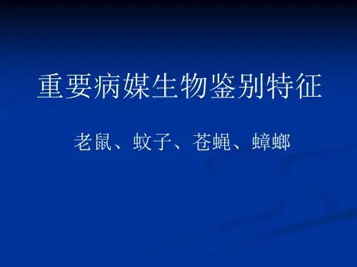 老鼠、苍蝇、蚊子、蟑螂等生态习性、分类及种类鉴别课件