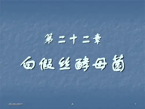 白假丝酵母菌04470