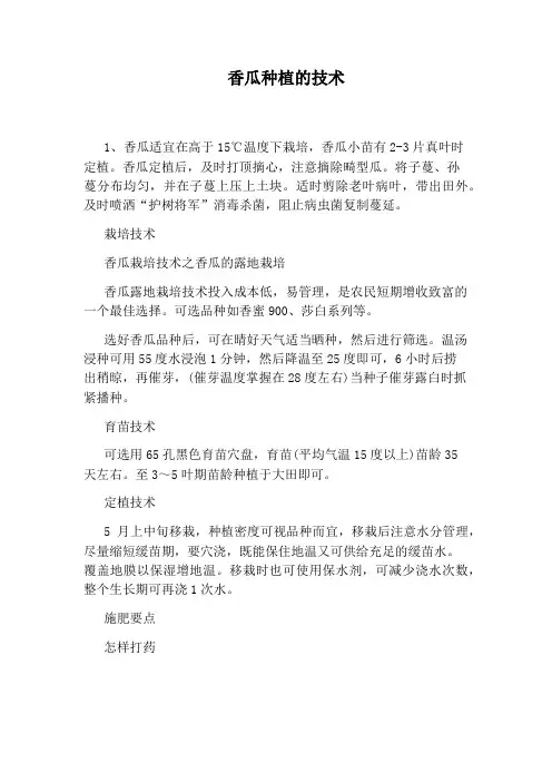 香瓜种植的技术