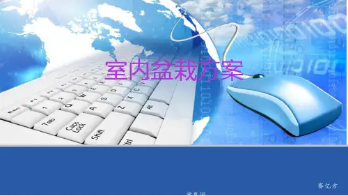 室内盆栽方案