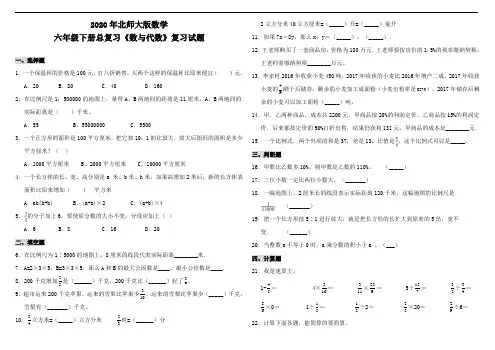 北师大版六年级数学下册总复习《数与代数》复习试卷(含答案)