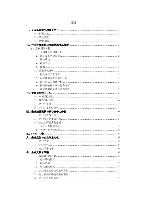 大地数字影院的企业战略管理