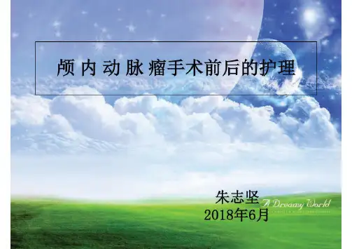 颅内动脉瘤手术前后的护理PPT课件