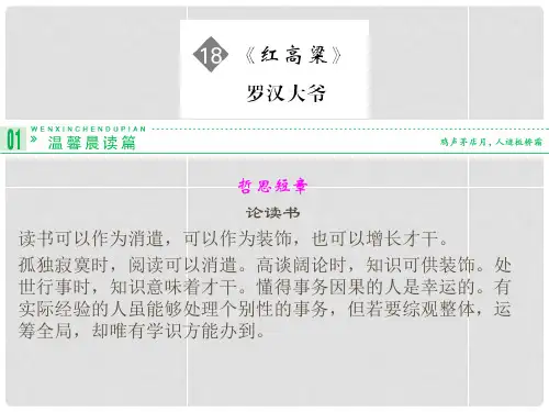 高中语文 第18课 红高粱课件 新人教版选修《中国小说