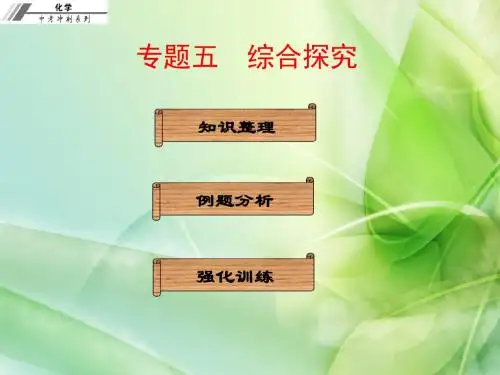 2017届中考化学综合探究专题总复习高品质版