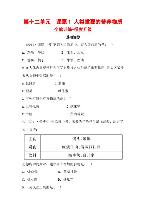 人教版九年级化学下册第十二单元梯度能力训练