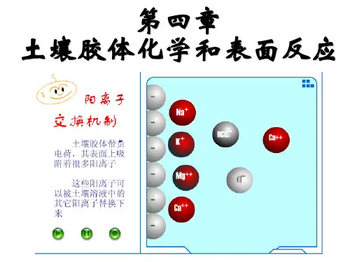 第4章 土壤胶体化学和表面化学