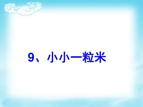 小小一粒米