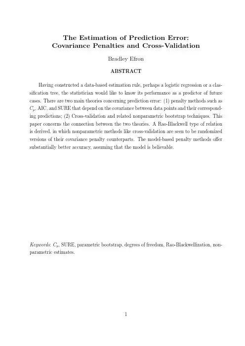 The Estimation of Prediction Error