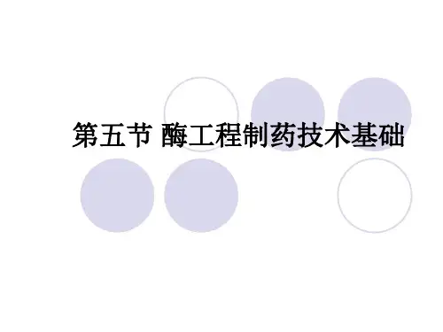 第2章第五节 酶工程制药技术基础