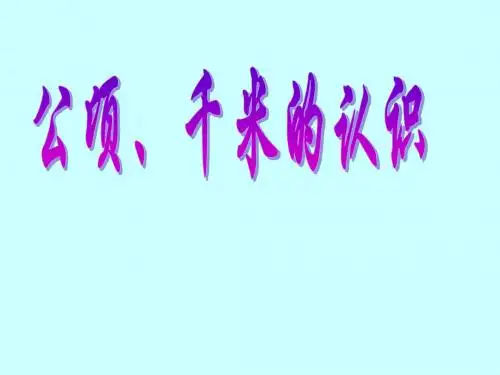 一张邮票的面积约课桌面的面积约24教室地面的面积约5416页PPT