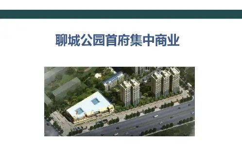 山东聊城公园首府商业项目简介