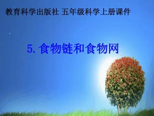 《食物链和食物网》教学课件2