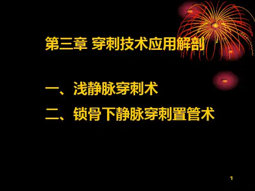 静脉穿刺PPT课件