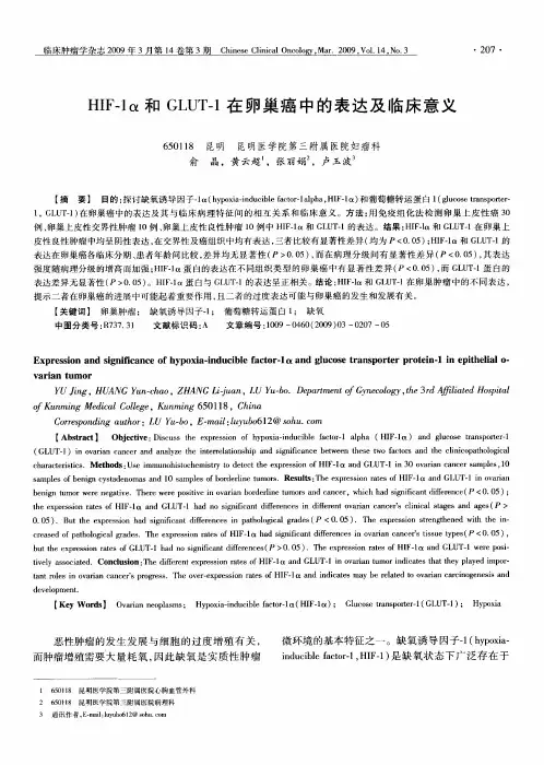 HIF-1α和GLUT-1在卵巢癌中的表达及临床意义