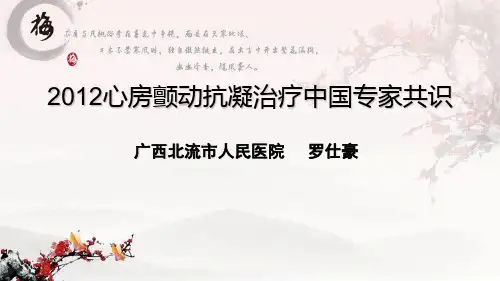 2012年房颤抗凝治疗指南