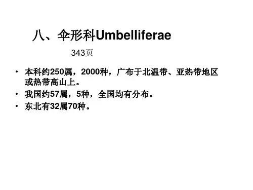 第十一章 被子植物主要分科2
