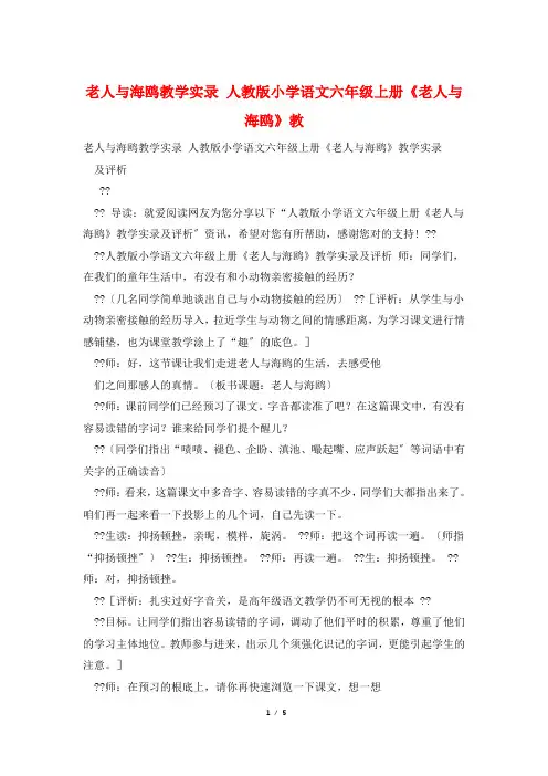 老人与海鸥教学实录 人教版小学语文六年级上册《老人与海鸥》教
