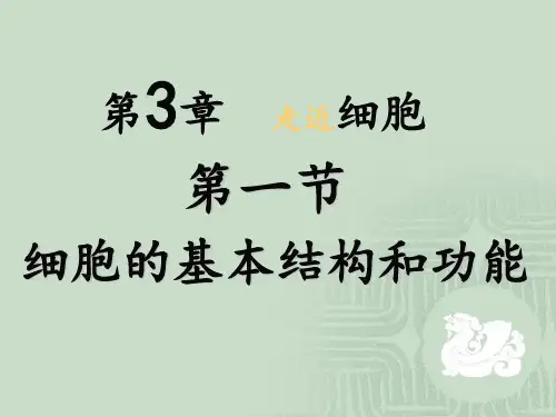 细胞结构与功能