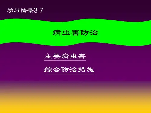 食用菌病虫害