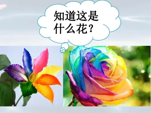 五年级下册音乐课件-《会飞的七色花》冀少版(共8张PPT)