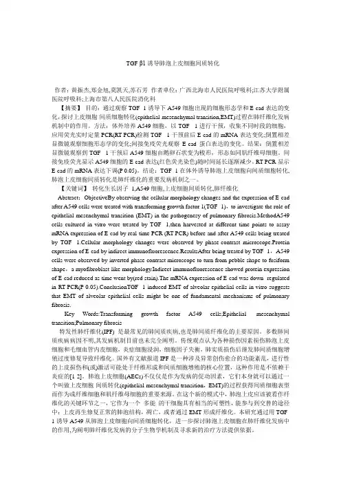 TGFβ1诱导肺泡上皮细胞间质转化