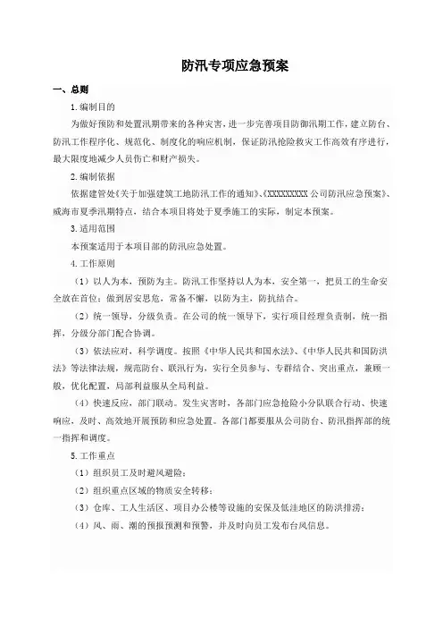 防汛专项应急预案