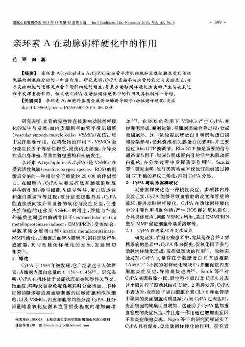 亲环素A在动脉粥样硬化中的作用