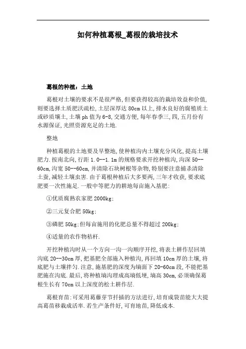 葛根的栽培技术