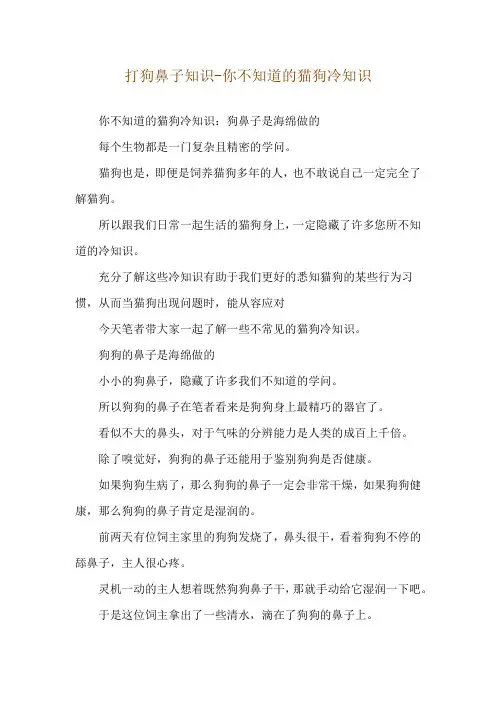 打狗鼻子知识-你不知道的猫狗冷知识