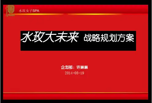 美容院战略规划(最终版)
